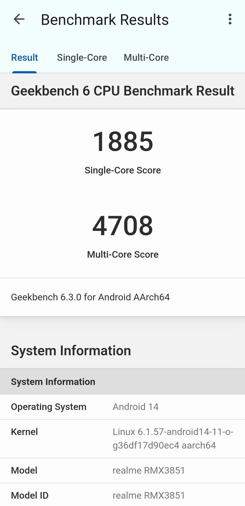 Realme GT 6 Realme GT 6