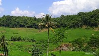 Salem merupakan daerah perbukitan dan pegunungan yang sejuk.