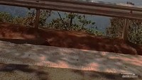 Spot Jalur Salem di mana kita bisa melihat daratan di bagian bawah.