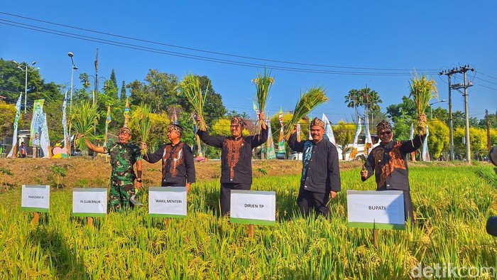 Wakil Menteri Pertanian, Sudaryono saat menanam padi dan jagung di dilahan pinggir Gedung PLUT, Kecamatan Soreang, Kabupaten Bandung