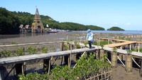 Seorang pengunjung melintasi jembatan di lokasi wisata Mangrove cuku Nyi Nyi di desa Sidodadi, Pesawaran, Lampung, Rabu (24/7/2024).
