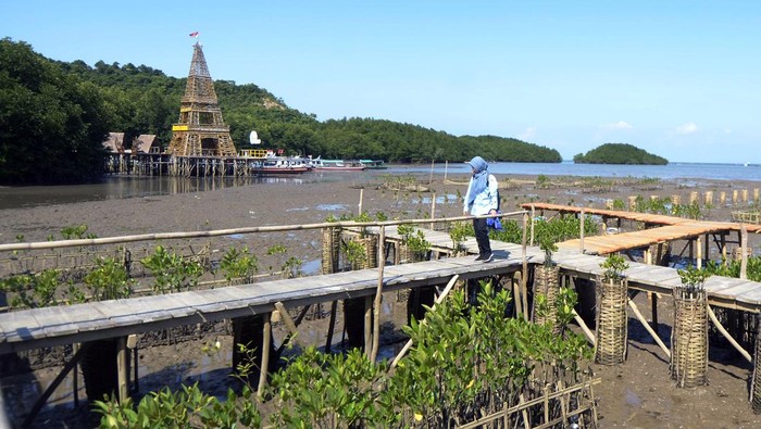 Seorang pengunjung melintasi jembatan di lokasi wisata Mangrove cuku Nyi Nyi di desa Sidodadi, Pesawaran, Lampung, Rabu (24/7/2024). Objek wisata mangrove seluas 12 hektar milik desa tersebut menjadi salah satu tujuan wisata daerah dan keberadaannya menjadi salah satu sumber penghasilan bagi desa dan UMKM sekitar. ANTARA FOTO/Ardiasnyah/nz.