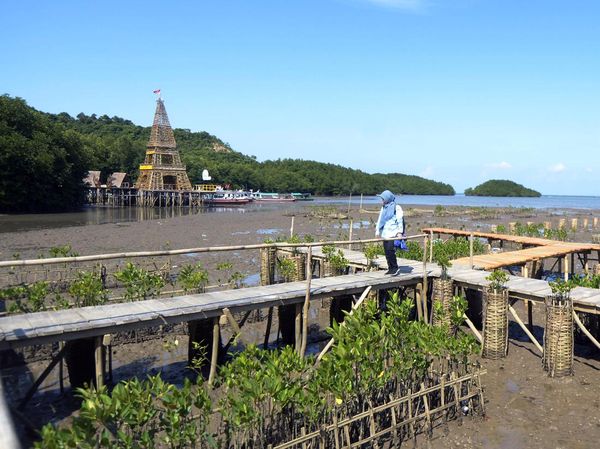 Ada Menara Eiffel di Wisata Mangrove Lampung