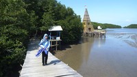 Objek wisata mangrove seluas 12 hektar milik desa tersebut menjadi salah satu tujuan wisata daerah dan keberadaannya menjadi salah satu sumber penghasilan bagi desa dan UMKM sekitar.