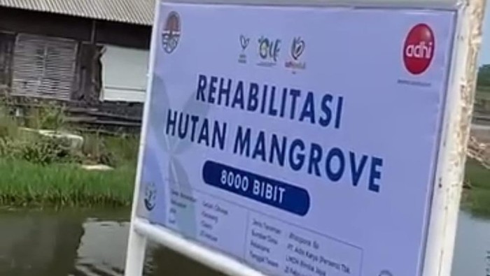 Adhi Karya Rehabilitasi Hutan Mangrove