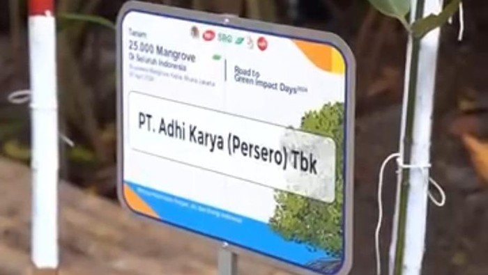 Adhi Karya tanam Pohon Mangrove