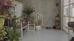 Intip Isi Rumah Sebelah Makam yang Estetik, Ada Taman Indoornya!