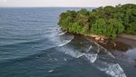 Serunya Taklukkan Ombak di Pantai Batukaras