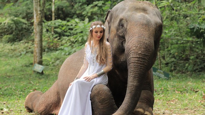 Sebagai bagian dari upaya konservasi alam, Taman Safari mengajak masyarakat untuk mencintai satwa dengan menggelar kontes foto.