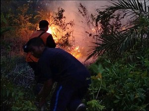 10 Hektare Lahan Perkebunan di Muba Terbakar, Dipadamkan 5 Jam