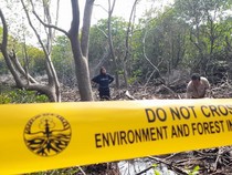 4 Pekerja Tambang Emas Ilegal di Gorontalo Ditangkap, 1 Ekskavator Disita