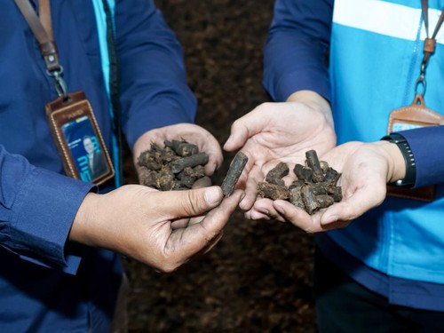 Tandan Kosong Kelapa Sawit Disulap Jadi Biomassa di PLTU Sintang