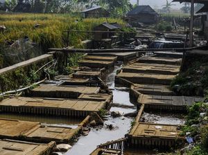 Masyarakat Manfaatkan Sungai Jadi Tempat Budi Daya Ikan