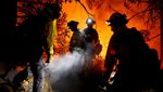 Kebakaran Hutan gegara Cuaca Ekstrem, California Membara
