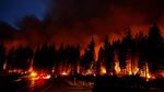 Kebakaran Hutan gegara Cuaca Ekstrem, California Membara