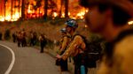 Kebakaran Hutan gegara Cuaca Ekstrem, California Membara