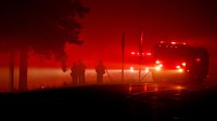 Kebakaran tersebut juga menyebabkan ribuan orang mengungsi dan membakar sejumlah bangunan di seluruh Butte, Plumas, Shasta, dan Tehama.