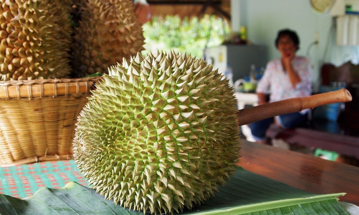 Durian Apa yang Paling Mahal? Simak Jenisnya yang Bikin Dompet Menjerit!