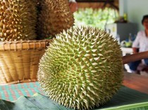 5 Fakta Durian Kanyao, Durian Paling Mahal di Dunia