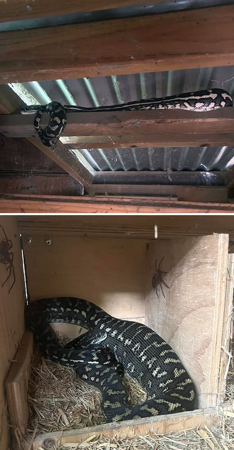 Foto Mengerikan di Tempat Kerja