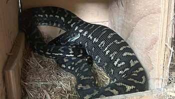 Pekerjaan pemadam kebakaran. Foto: Reddit via Boredpanda
