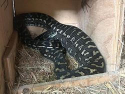 Foto Menakutkan yang Diambil Warganet di Tempat Kerja