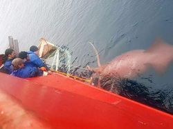 Foto Menakutkan yang Diambil Warganet di Tempat Kerja