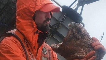 Nelayan vs belut serigala laut dalam. Foto: Reddit via Boredpanda