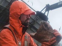 Foto Menakutkan yang Diambil Warganet di Tempat Kerja