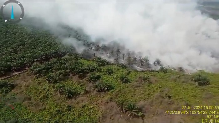 Kawasan perkebunan kelapa sawit di Muaro Jambi saat terbakar