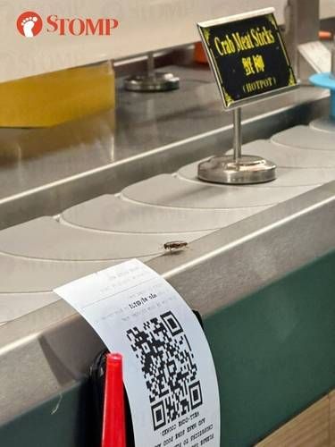 Kacau! Ada Kecoa Berkeliaran di Atas Conveyor Belt Restoran Hotpot