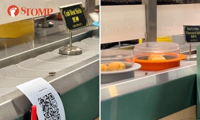 Kacau! Ada Kecoa Berkeliaran di Atas Conveyor Belt Restoran Hotpot
