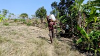 Lingkungan ini ada 13 kepala keluarga (KK) atau 33 jiwa. Mereka sehari-hari bekerja sebagai buruh petik daun minyak kayu putih.