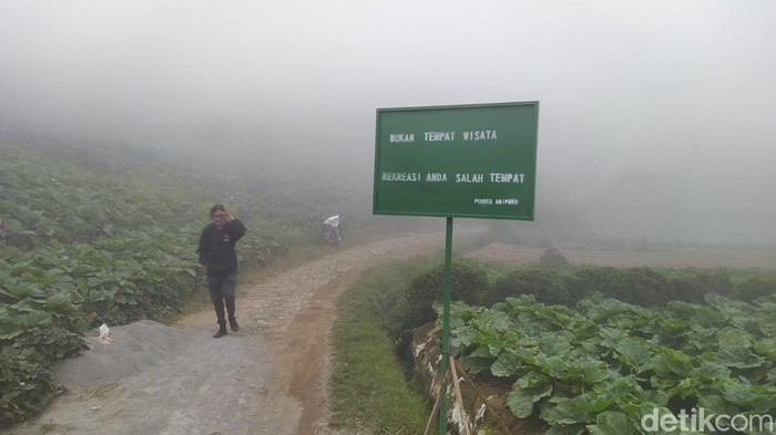 Lokasi kawasan Blumbangroto yang berada di Desa Adipuro, Kecamatan Kaliangkrik, Kabupaten Magelang, Senin (29/7/2024).