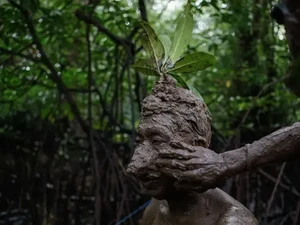 3 Foto Mangrove dari Indonesia Raih Penghargaan Dunia