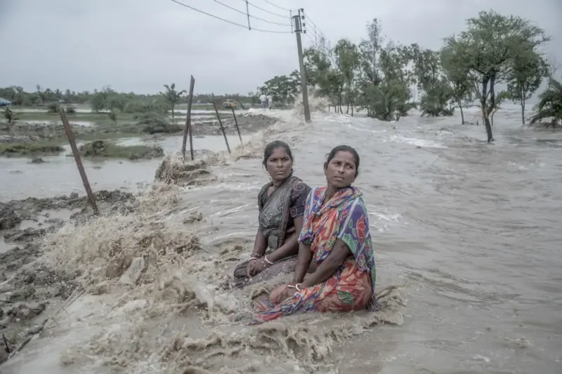 Mangrove Photography Awards