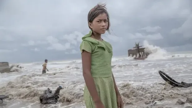 Mangrove Photography Awards