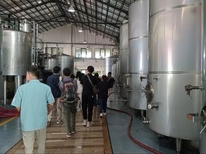 Melihat Proses Pembuatan Wine di Sababay Winery Bali