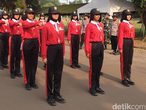 Upacara HUT RI di IKN, Hotel Bakal Penuh dan Harganya Naik