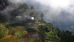 Ngopi Asyik di Atas Awan Toraja Utara