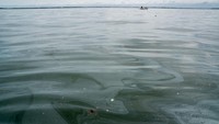 Menuntip AFP, Kapal nahas itu bernama MT Terra Nova. Awalnya, kapal sedang menuju pusat kota Iloilo ketika tenggelam di Teluk Manila, hampir tujuh kilometer (4,3 mil) dari kota Limay di provinsi Bataan dekat ibu kota.
