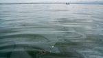 Pemandangan Tumpahan Minyak Kapal Tanker di Teluk Manila Pemandangan Tumpahan Minyak Kapal Tanker di Teluk Manila