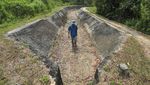 Ratusan Hektare Sawah di Jambi Mengering Imbas Bendungan Rusak