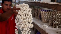 Para pekerja kemudian menenun benang pada alat tenun untuk membuat karpet.
