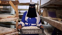 Dikutip dari Reuters, manajer proyek Ragab mengatakan, dengan mengambil alih seluruh siklus produksi, proyek ini kini menjadi industri utama di Naga Oun.