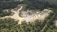 Ubah fungsi lahan pertanian dan perkebunan menjadi tambang emas itu marak sejak lima tahun terakhir.  