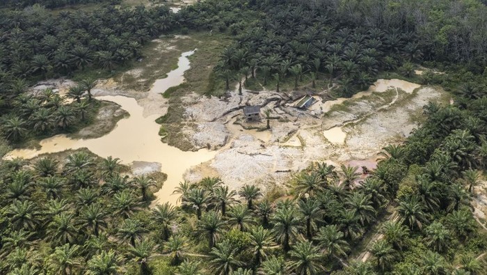 Foto udara kawasan pertambangan emas di areal persawahan dan perkebunan di Merangin, Jambi, Minggu (28/7/2024). Ratusan hektare lahan pertanian dan perkebunan produktif di daerah itu rusak akibat beralih fungsi menjadi kawasan pertambangan emas ilegal yang marak sejak lima tahun terakhir. ANTARA FOTO/Wahdi Septiawan/aww.