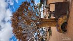 Bertualang ke Canyon Roadhouse, Namibia