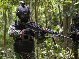 Pertempuran Sengit TNI Lawan OPM di Intan Jaya Berujung 14 Pelaku Tewas