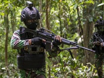 TNI Kontak Tembak dengan 8 Anggota OPM di Papua Jelang HUT RI, 3 Pelaku Tewas